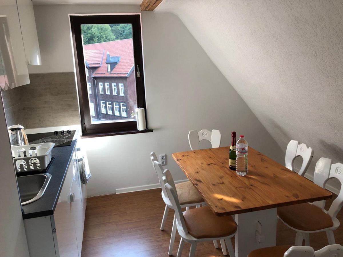 Ferienhaus Art Apartment - Harz Zorge Buitenkant foto
