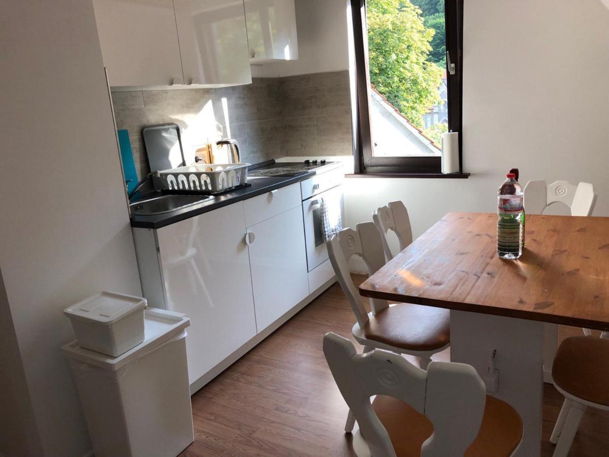 Ferienhaus Art Apartment - Harz Zorge Buitenkant foto
