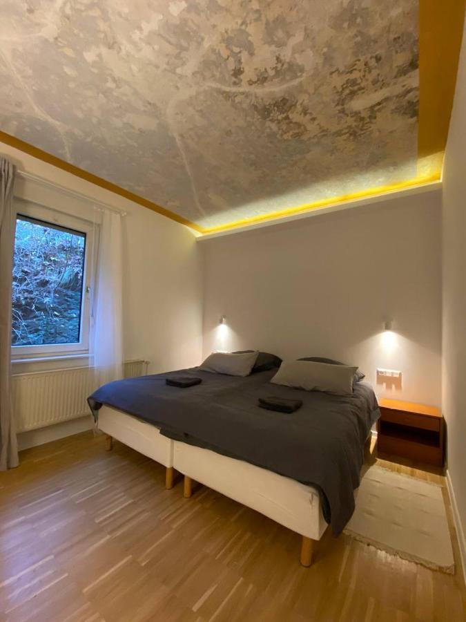 Ferienhaus Art Apartment - Harz Zorge Buitenkant foto