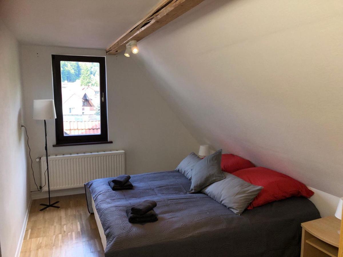 Ferienhaus Art Apartment - Harz Zorge Buitenkant foto