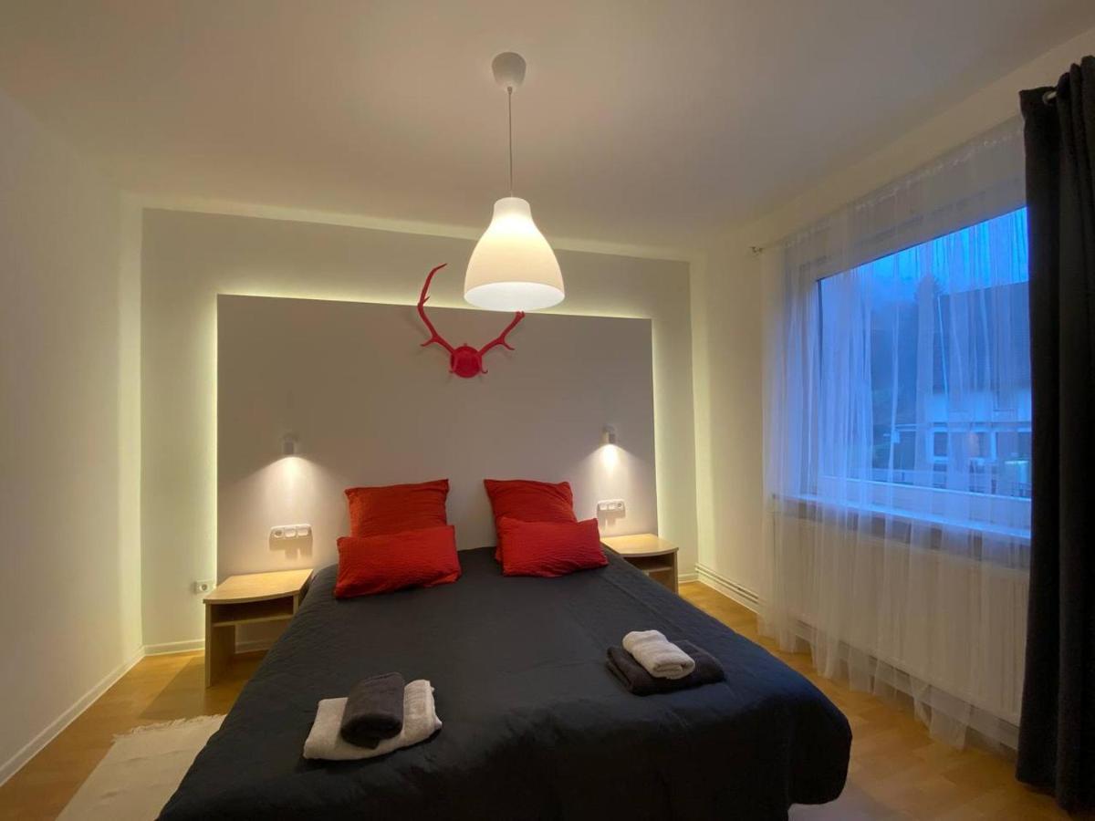 Ferienhaus Art Apartment - Harz Zorge Buitenkant foto