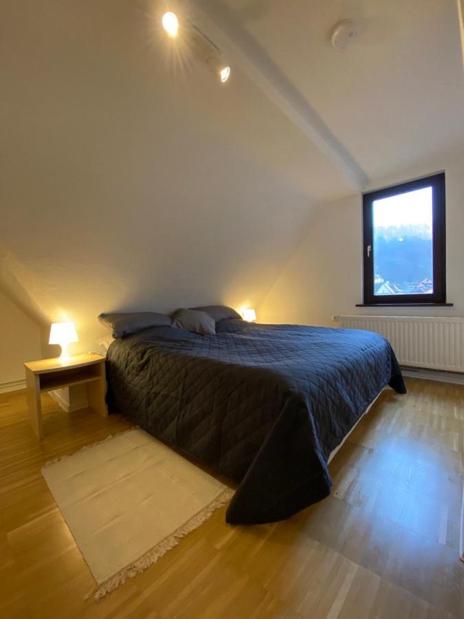 Ferienhaus Art Apartment - Harz Zorge Buitenkant foto