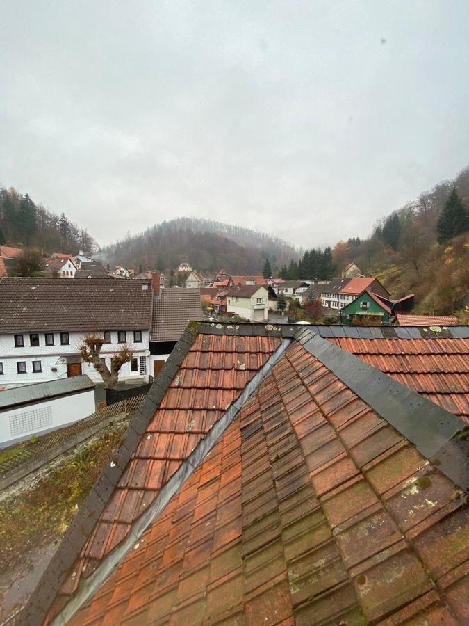Ferienhaus Art Apartment - Harz Zorge Buitenkant foto