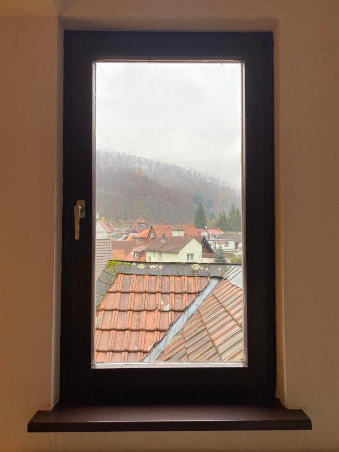 Ferienhaus Art Apartment - Harz Zorge Buitenkant foto