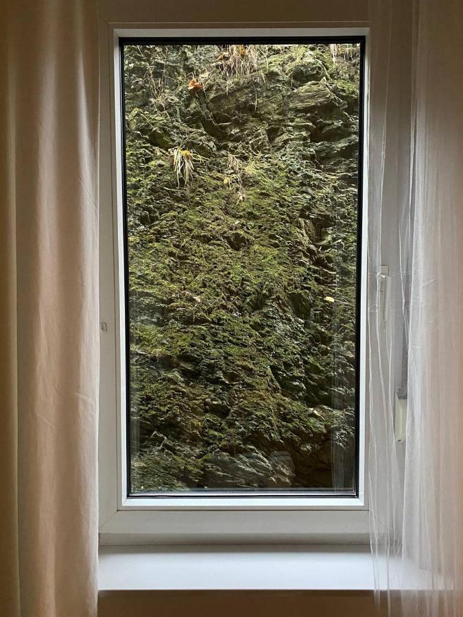Ferienhaus Art Apartment - Harz Zorge Buitenkant foto